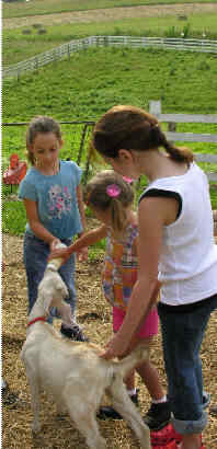 kid at the farm