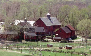 Muscoot farm