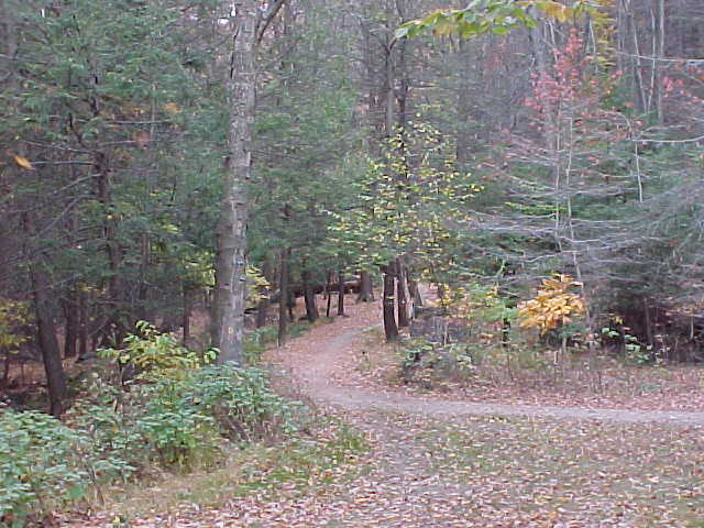 Hayrides