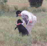 Field3.jpg