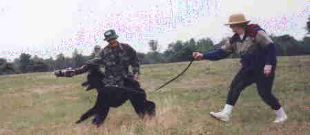 Throw1.jpg