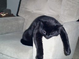 I  have a hangover