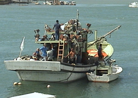 Boat & Crew