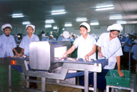 Factory Workers