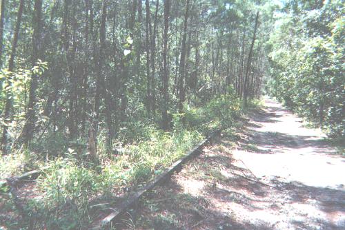 Visit Abandoned and Out-of Service FEC branchlines