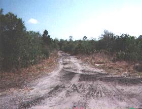 Kissimmee Valley Branch