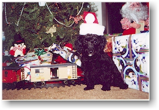 Christmas 1999