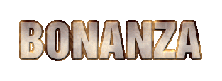 /user/bonanzacustomlogo.gif