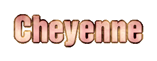 /user/cheyennelogolg.gif