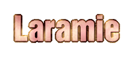 /user/laramielogolg.gif