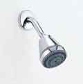 Delta Shower Head Mounted