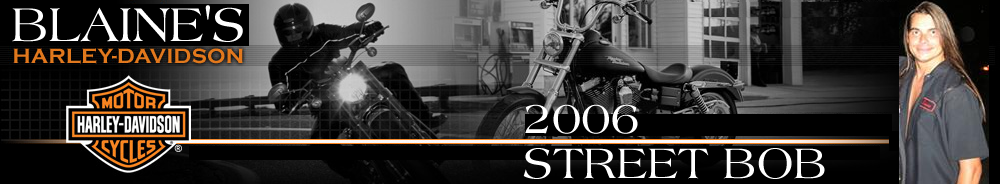Blaine Perry's 2006 Harley Davidson Street Bob