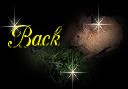 Return to Previous Page