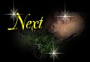 View the Next Page