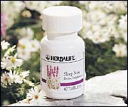 sleepnow.jpg (16890 bytes)