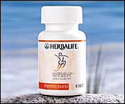thermobond.jpg (13804 bytes)