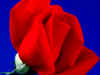 fb024.jpg (20532 bytes)