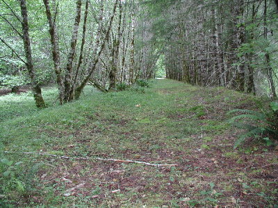 Old Road