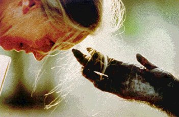 Jane Goodall