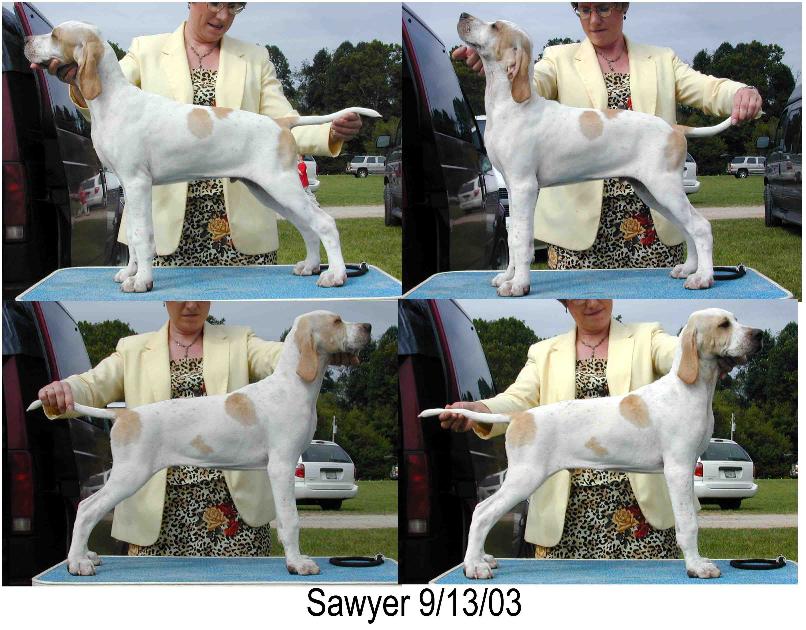 Sawyer