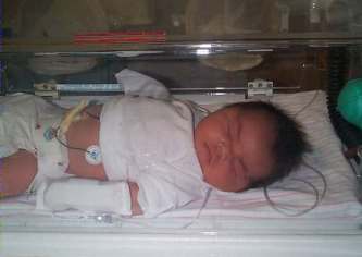David Incubator