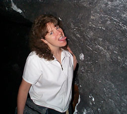 Michele lick