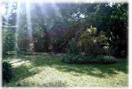 Beautiful and spacious garden