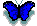 /user/bluebutterly.gif