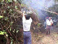 05-gombak-climb-Teamwork.jpg (19952 bytes)