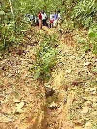 63-gombak-climb-WhatNow.jpg (13696 bytes)