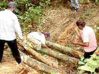 67-gombak-climb-Teamwork.jpg (14439 bytes)