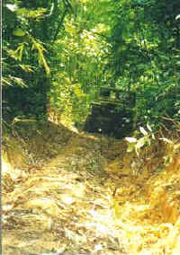79-gombak-climb.jpg (12488 bytes)