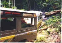 convoy.jpg (40869 bytes)