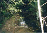 RFC-99 DEEP MUD HOLES UNSEEN TRAP.jpg (38080 bytes)