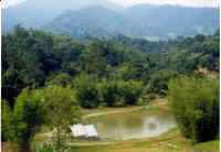 TK's Land fr view top.jpg (34550 bytes)