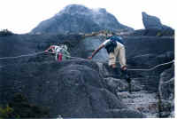A little bit more!-Walis.jpg (44289 bytes)