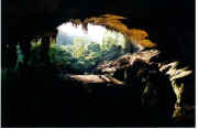 Niah Cave.jpg (17547 bytes)