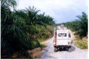 Srwk Off roading -1.jpg (26368 bytes)