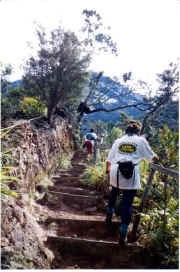 The climb.jpg (31299 bytes)