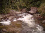 waterfall.jpg (22183 bytes)