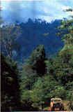 JandainNZ.jpg (46497 bytes)