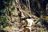 StickyMudHelp.jpg (43431 bytes)