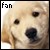 The Golden Retriever Fanlisting!