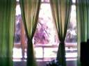 livingroom_windows.jpg