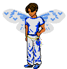 Wedding Fairy