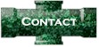 Contact Newtec