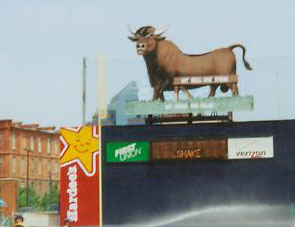 The Durham Bull