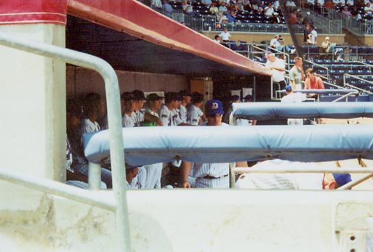 Bulls Dugout