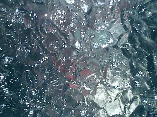 ice is cool