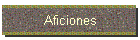 Aficiones